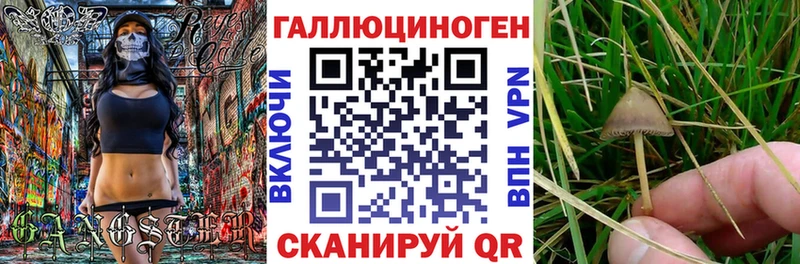 Галлюциногенные грибы прущие грибы kraken ONION Высоковск наркота